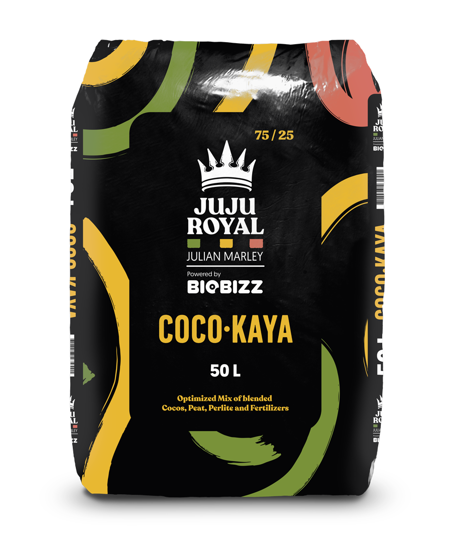 Biobizz Coco Kaya 50 L - Juju Royal