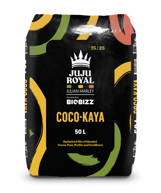 Biobizz Coco Kaya 50 L - Juju Royal