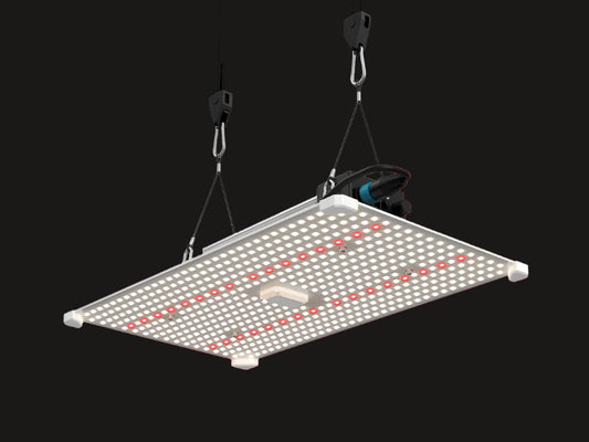 LUMii Black Blade 200 W LED