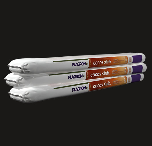 Plagron Cocos Slab